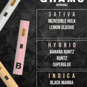 Blinkers Vape 2G Distillate Disposable